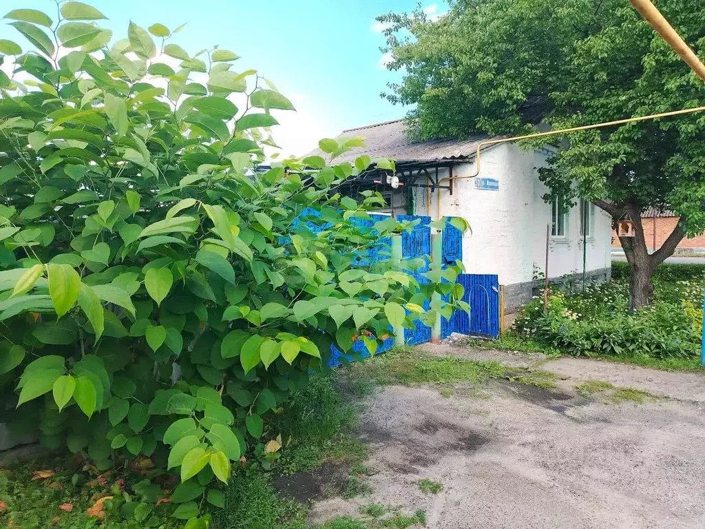 Дом в Белгородская область, Новый Оскол ул. Маяковского, 30 (34 м) - Фото 1