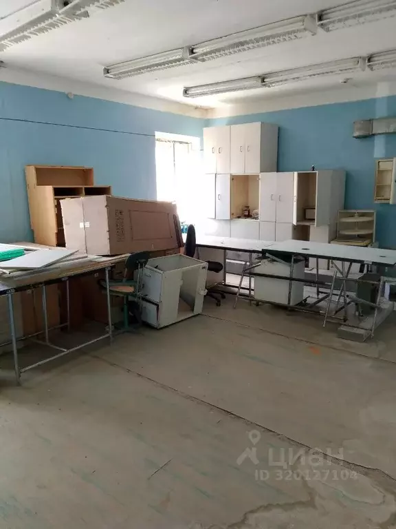 Помещение свободного назначения в Мордовия, с. Большое Игнатово ул. ... - Фото 0