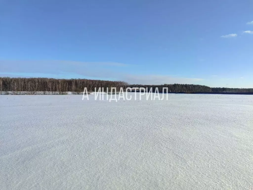 Участок в Московская область, Подольск городской округ, Лучинское СНТ ... - Фото 2