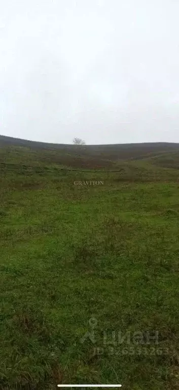 Участок в Алтай, Майминский район, пос. Алферово Центральная ул., 31А ... - Фото 0