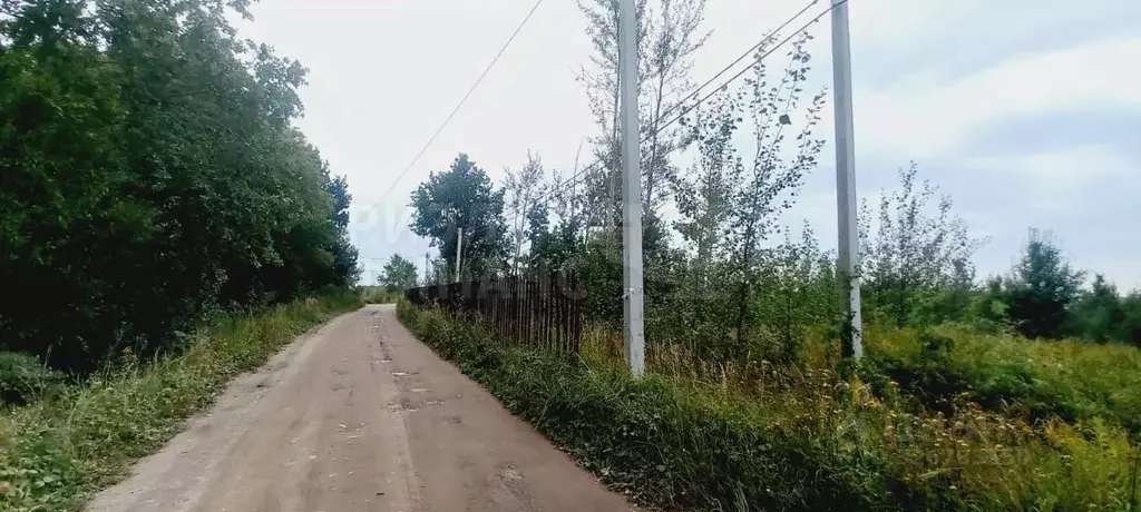 Участок в Калининградская область, Гурьевский муниципальный округ, ... - Фото 1