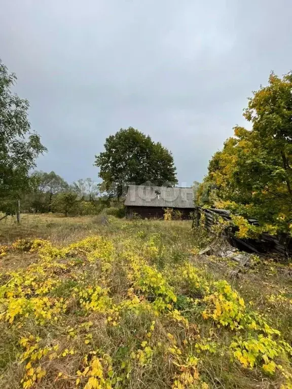 Участок в Брянская область, Выгоничское городское поселение, пос. ... - Фото 1
