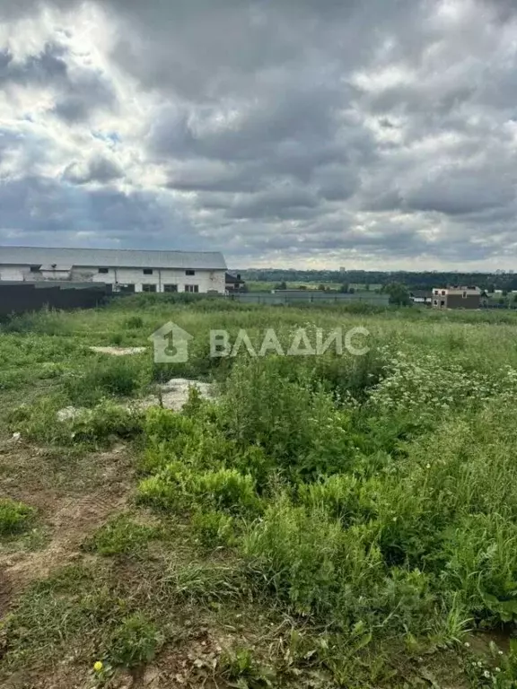 Участок в Владимирская область, Суздальский район, Новоалександровское ... - Фото 1