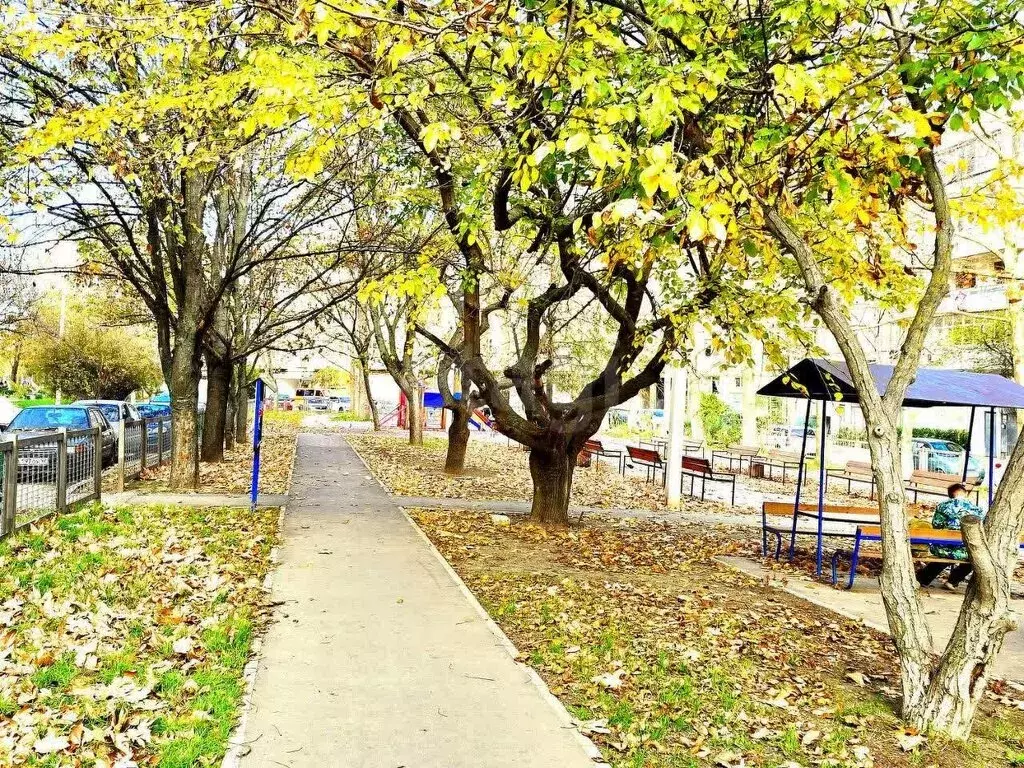 1-комнатная квартира: Севастополь, проспект Генерала Острякова, 214 ... - Фото 2