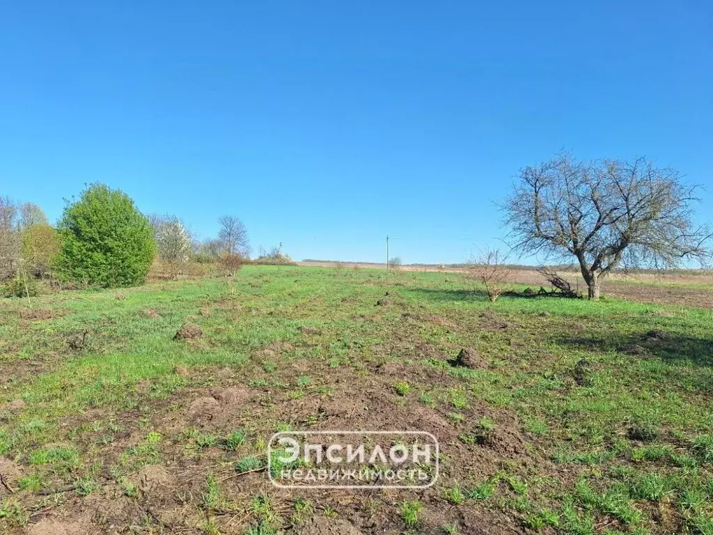 Участок в Курская область, Курский район, Брежневский сельсовет, с. ... - Фото 1