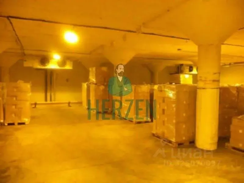 Склад в Московская область, Орехово-Зуево ул. Кирова, 54А (3000 м) - Фото 2