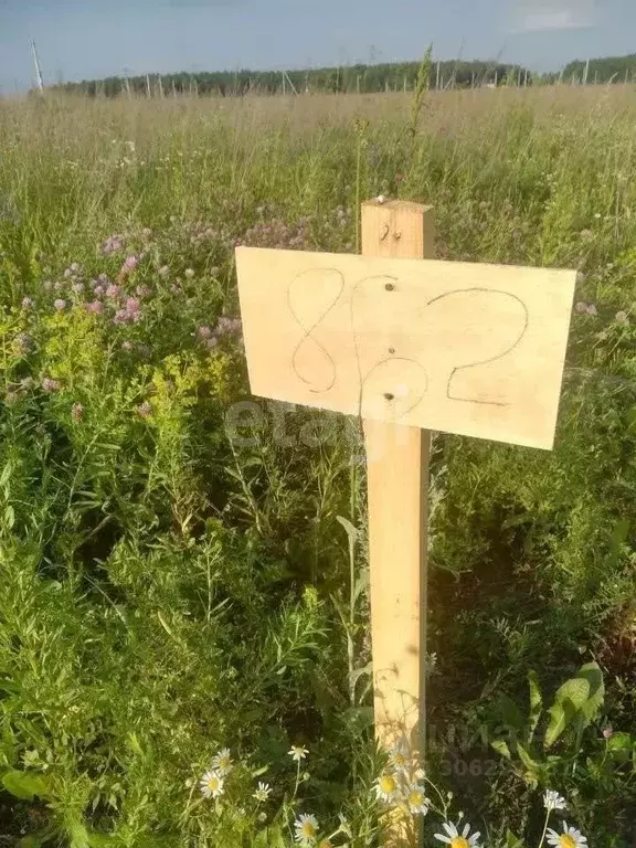 Участок в Челябинская область, Сосновский район, Кременкульское с/пос, ... - Фото 0