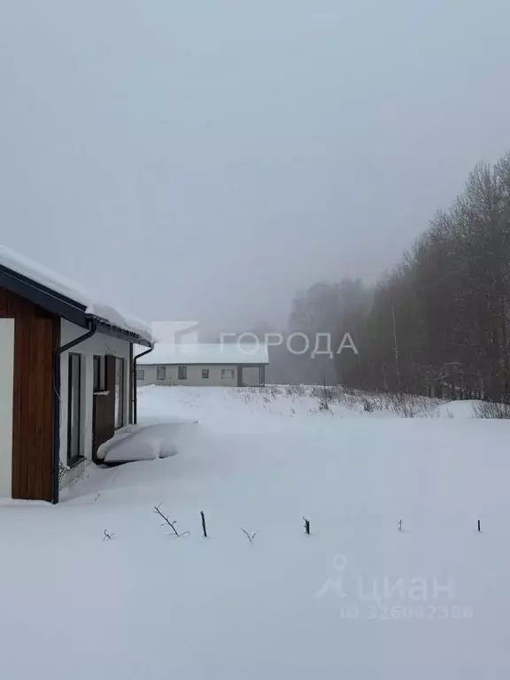 Участок в Новосибирская область, Новосибирский район, Раздольненский ... - Фото 2