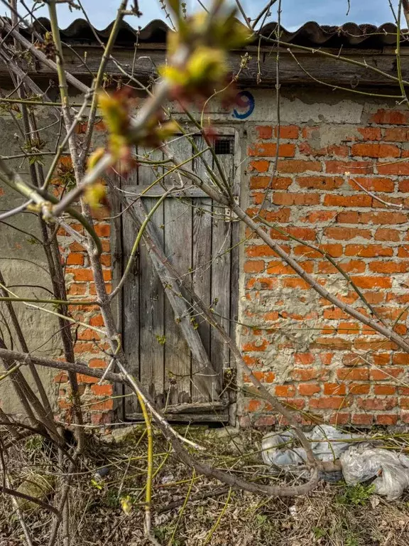 Помещение свободного назначения в Орловская область, Кромы пгт ул. К. ... - Фото 1