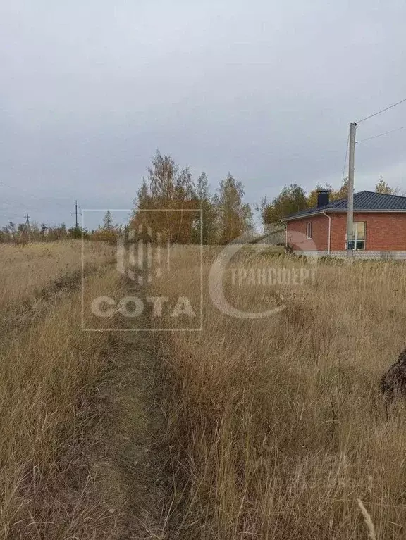 Участок в Воронежская область, с. Новая Усмань пер. Ленинградский, 36 ... - Фото 1