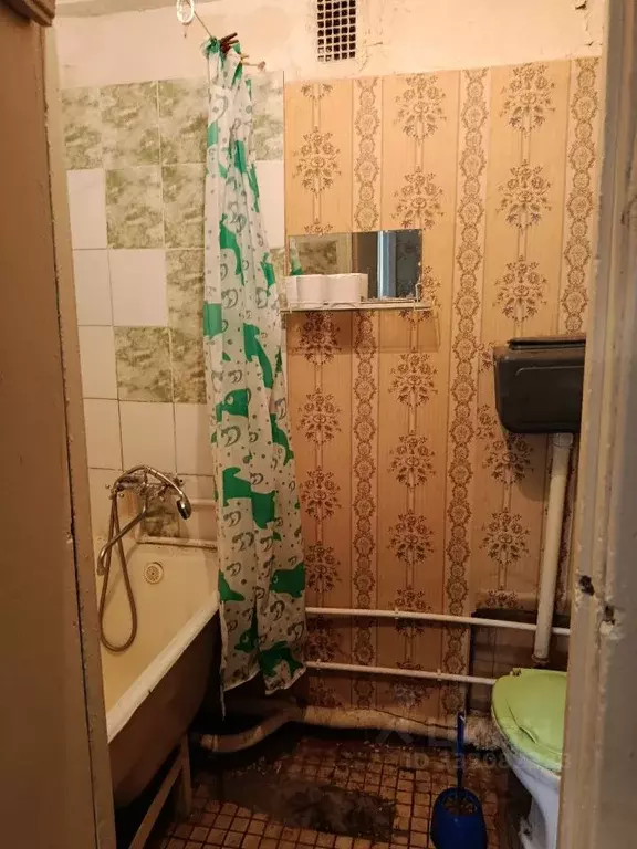 1-к кв. Псковская область, Остров ул. ДОС, 10 (31.3 м) - Фото 2