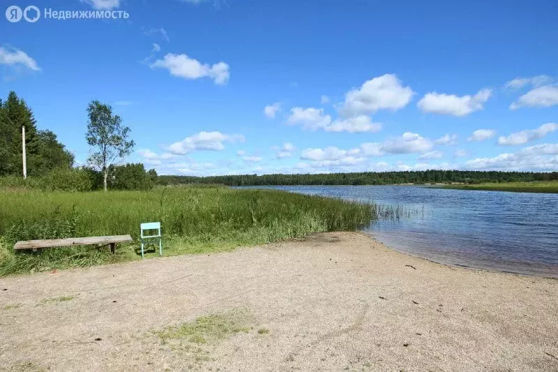 Дом в Шекснинский район, сельское поселение Нифантовское, СНТ ... - Фото 1