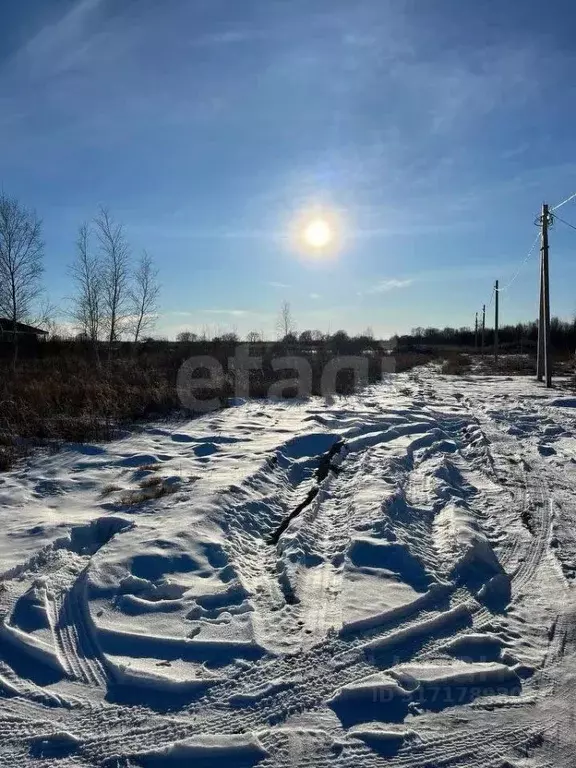 Участок в Амурская область, Благовещенский район, Станичное тер.  (8.0 ... - Фото 0