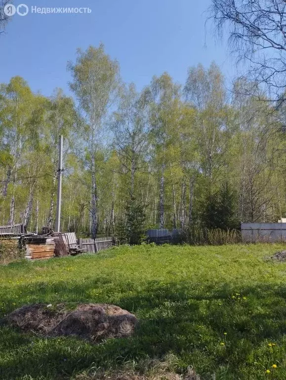 Участок в Челябинская область, Сосновский муниципальный округ, деревня ... - Фото 2