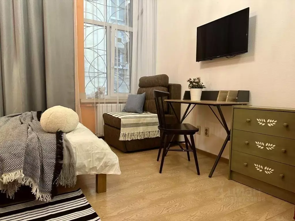 1-к кв. Санкт-Петербург Пушкинская ул., 16 (23.0 м) - Фото 1