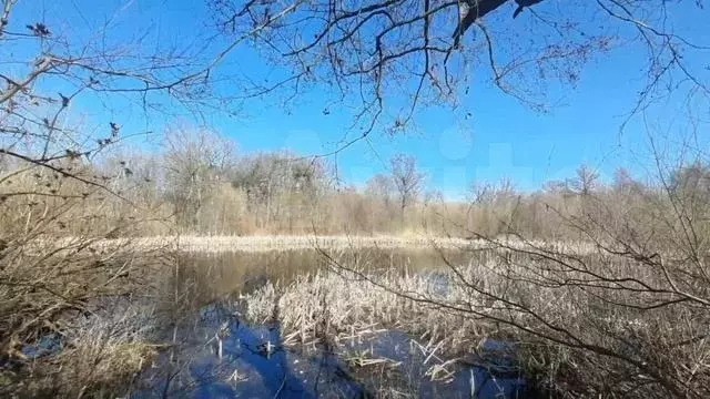 Участок 21,5 сот. (СНТ, ДНП) - Фото 1