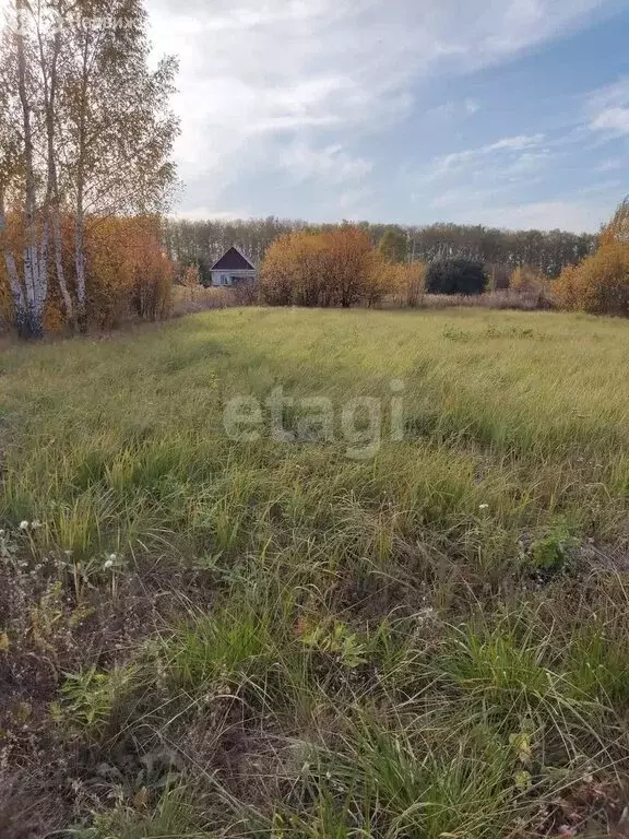 Участок в Пенза, Октябрьский район, посёлок Побочино (6.7 м) - Фото 1