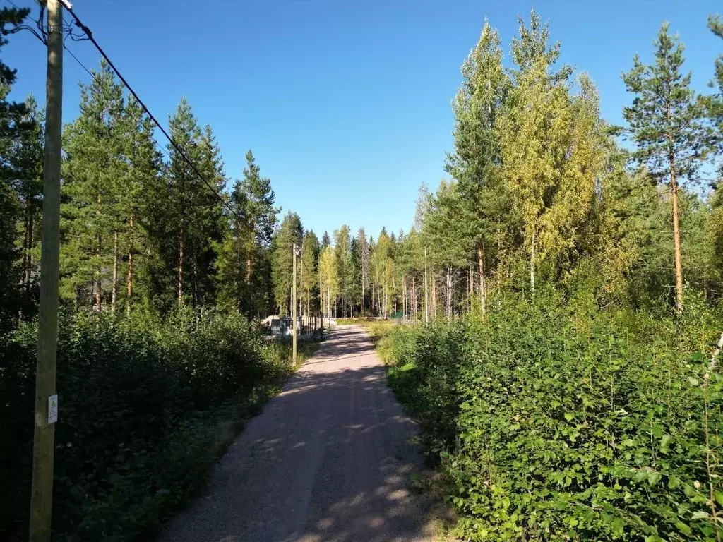 Участок в Ленинградская область, Выборгский район, Рощинское городское ... - Фото 1