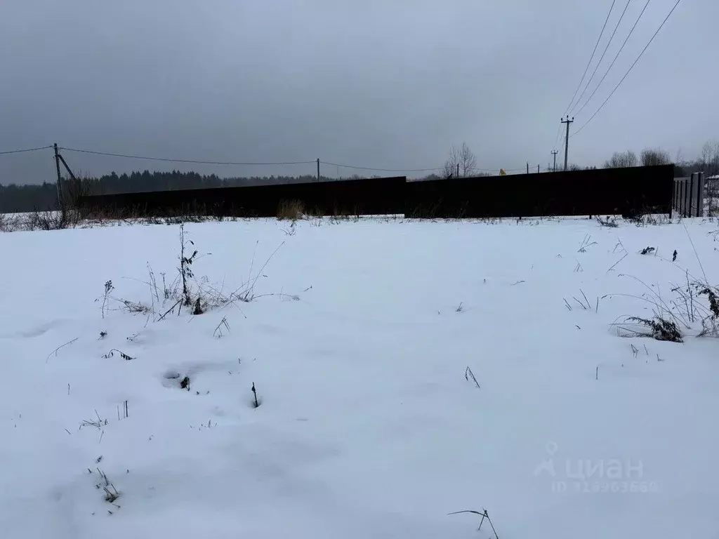 Участок в Московская область, Пушкинский городской округ, д. Никулино  ... - Фото 0