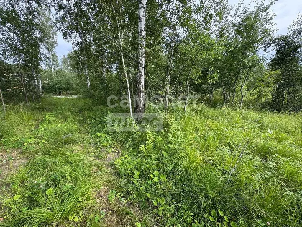 Участок в Тюменская область, Тюмень Зауралец СНТ, ул. Медиков (7.1 ... - Фото 1