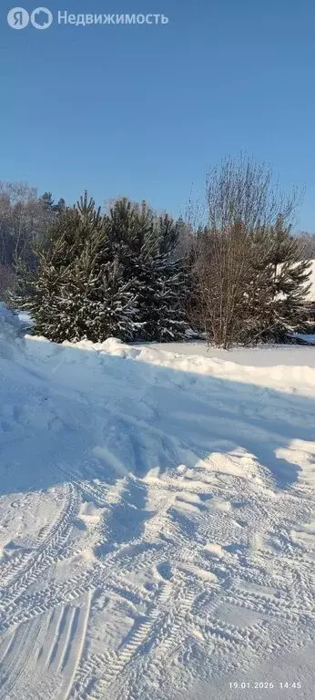 Участок в посёлок Зональная Станция, улица 40 лет Победы (8.38 м) - Фото 1