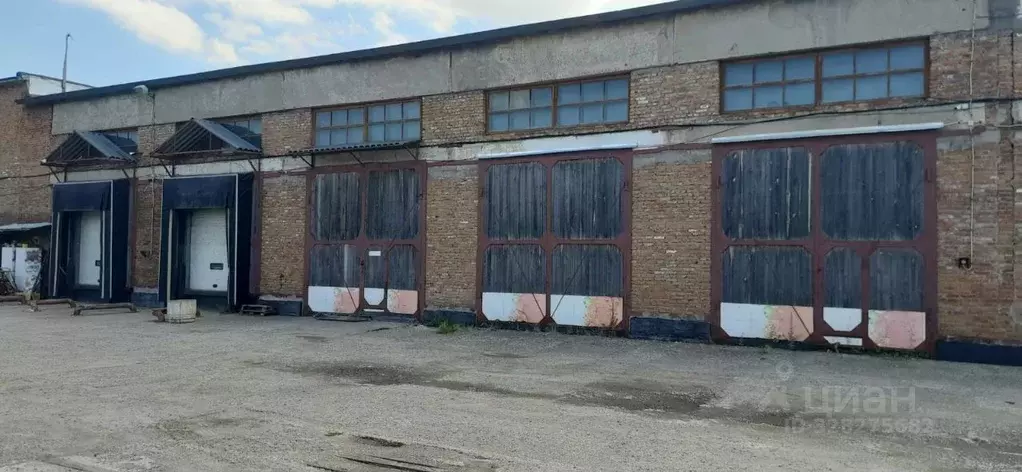Склад в Алтайский край, Барнаул ул. Чернышевского, 282 (1000 м) - Фото 1