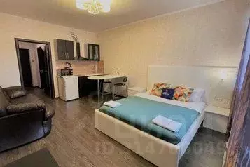 1-к кв. Московская область, Реутов Носовихинское ш., 27 (19.0 м) - Фото 0