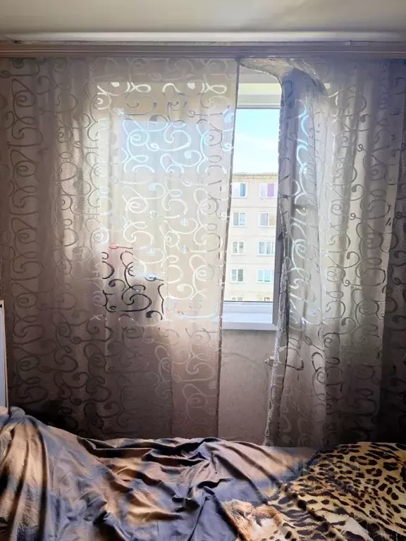 Студия Красноярский край, Красноярск Волжская ул., 7 (14.0 м) - Фото 1