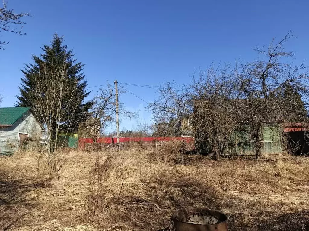 Участок в Смоленская область, Смоленск Черничный сад СНТ, ул. 4-я ... - Фото 1