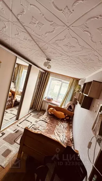 Комната Крым, Евпатория ул. Крупской, 44 (12.1 м) - Фото 2