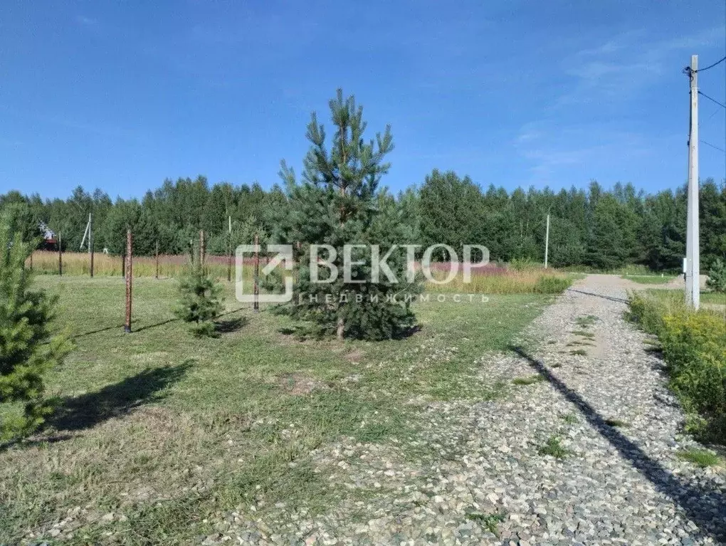 Участок в Костромская область, Кострома  (10.8 сот.) - Фото 1