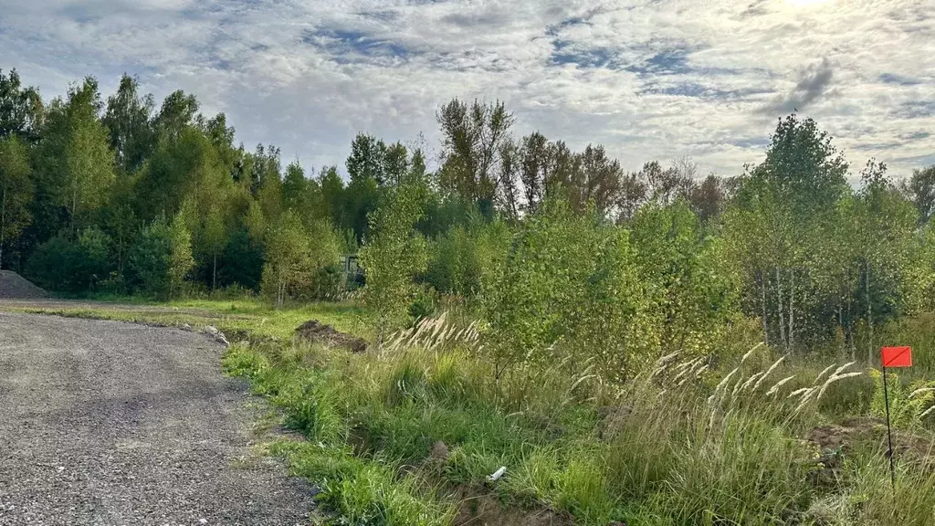 Участок в Московская область, Ступино городской округ, д. Агарино ул. ... - Фото 1