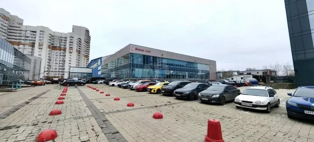 Торговая площадь в Московская область, Одинцовский городской округ, ... - Фото 2