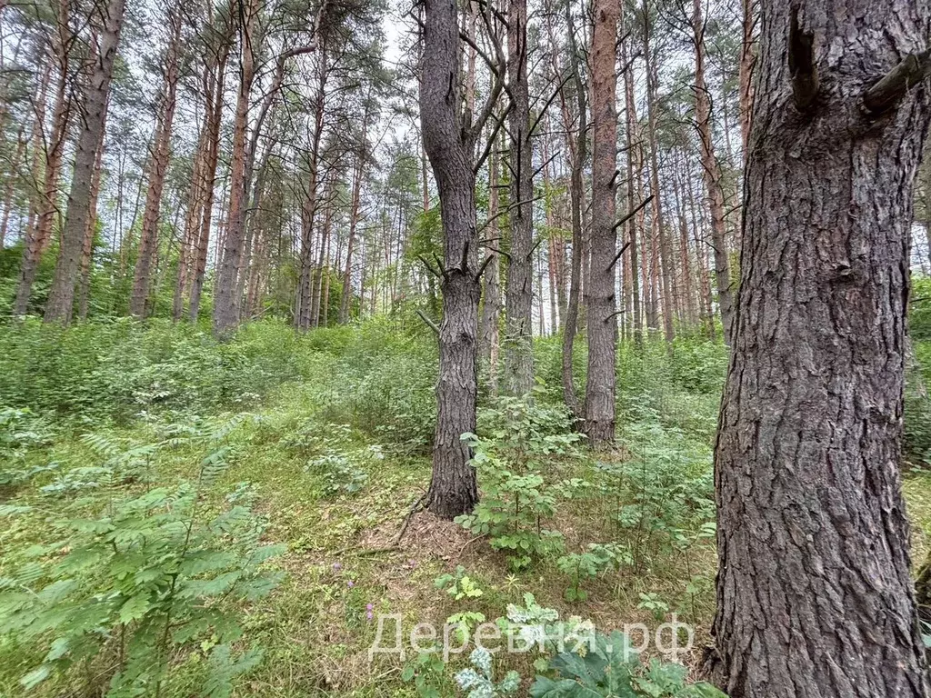 Участок 76 сот. (ИЖС) - Фото 0
