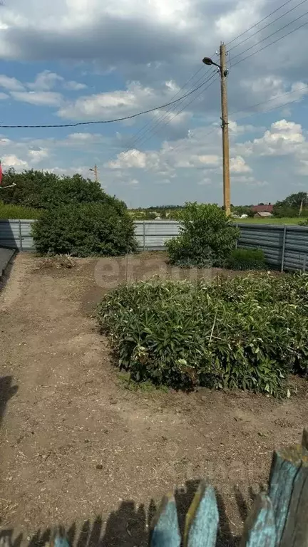 Дом в Воронежская область, Каширское с/пос, с. Бирюченское ул. ... - Фото 1