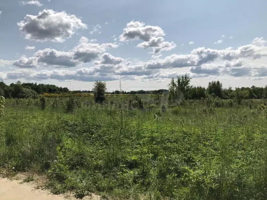 Участок в Калининградская область, Багратионовский муниципальный ... - Фото 1