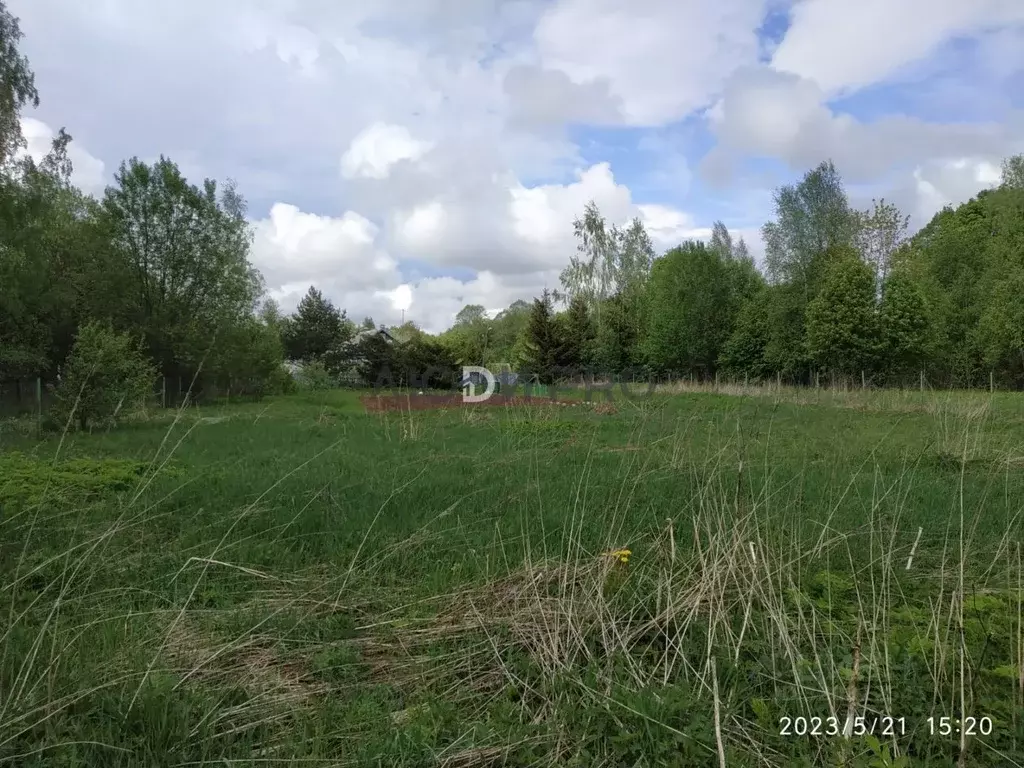 Участок в Тверская область, Калининский муниципальный округ, д. ... - Фото 2