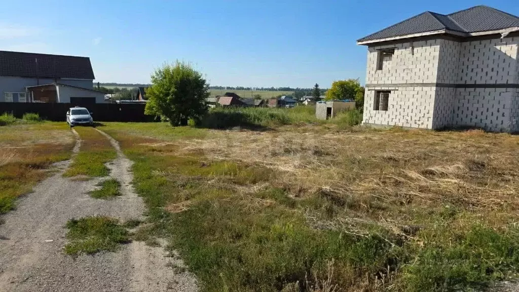 Участок в Алтайский край, Павловский район, с. Шахи ул. Вишневая (15.0 ... - Фото 1