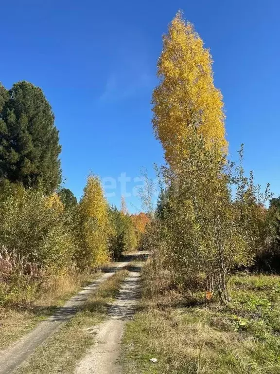 Участок в Ханты-Мансийский АО, Ханты-Мансийского муниципального района ... - Фото 2