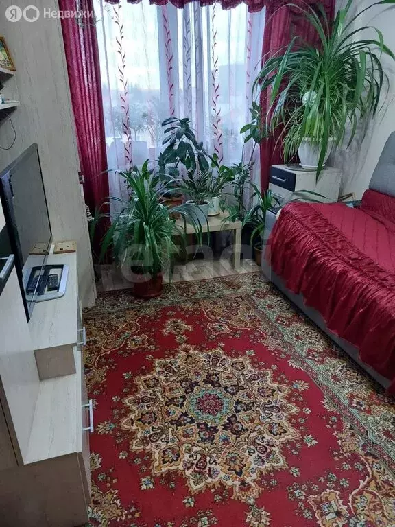 1-комнатная квартира: Новосибирск, улица Петухова, 95 (33 м) - Фото 1