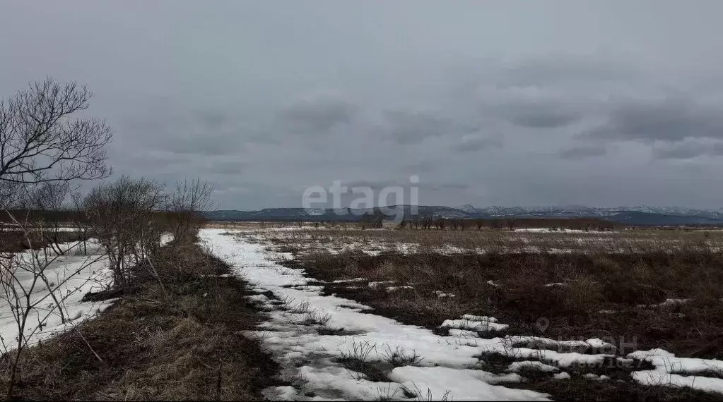 Участок в Сахалинская область, Анивский городской округ, с. ... - Фото 1