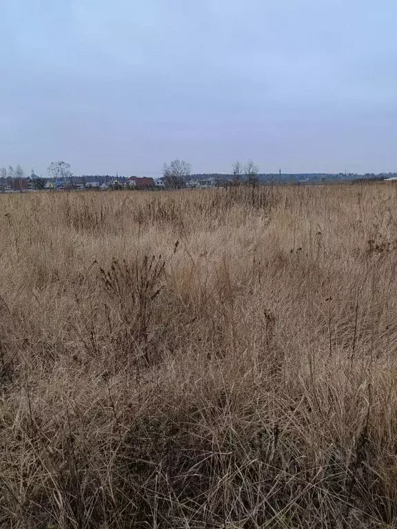 Участок в Московская область, Павлово-Посадский городской округ, д. ... - Фото 0