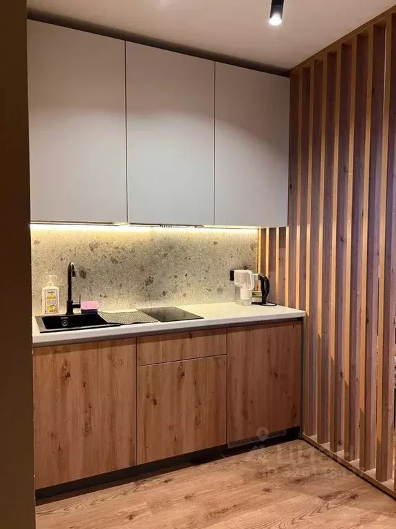 Студия Санкт-Петербург дор. На Турухтанные острова, 5к1 (27.2 м) - Фото 2