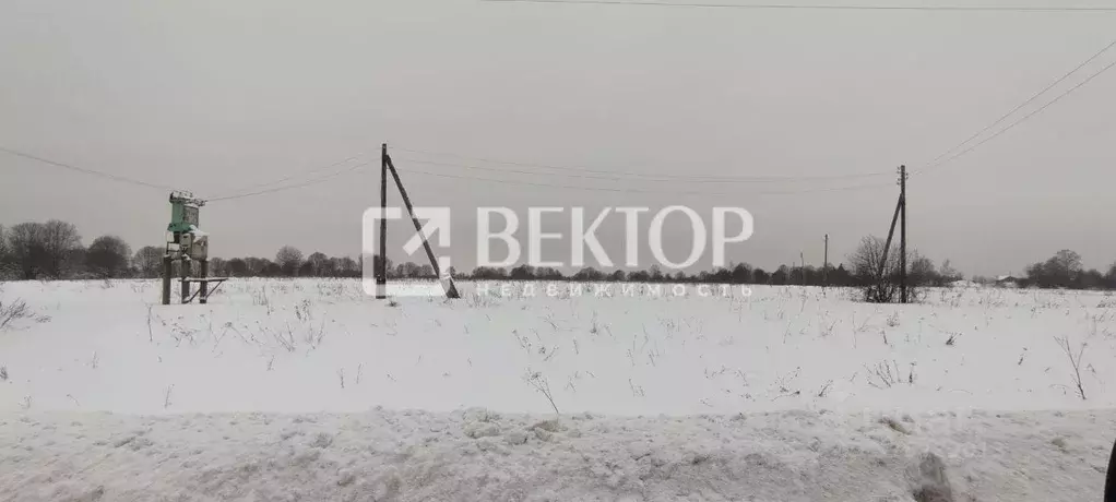 Участок в Ярославская область, Большесельский муниципальный округ, д. ... - Фото 1