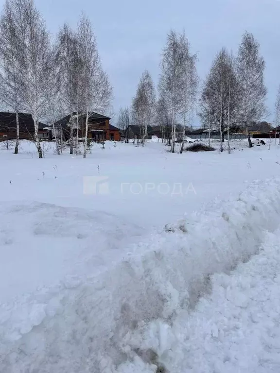 Участок в Новосибирская область, Новосибирский район, Морской ... - Фото 0