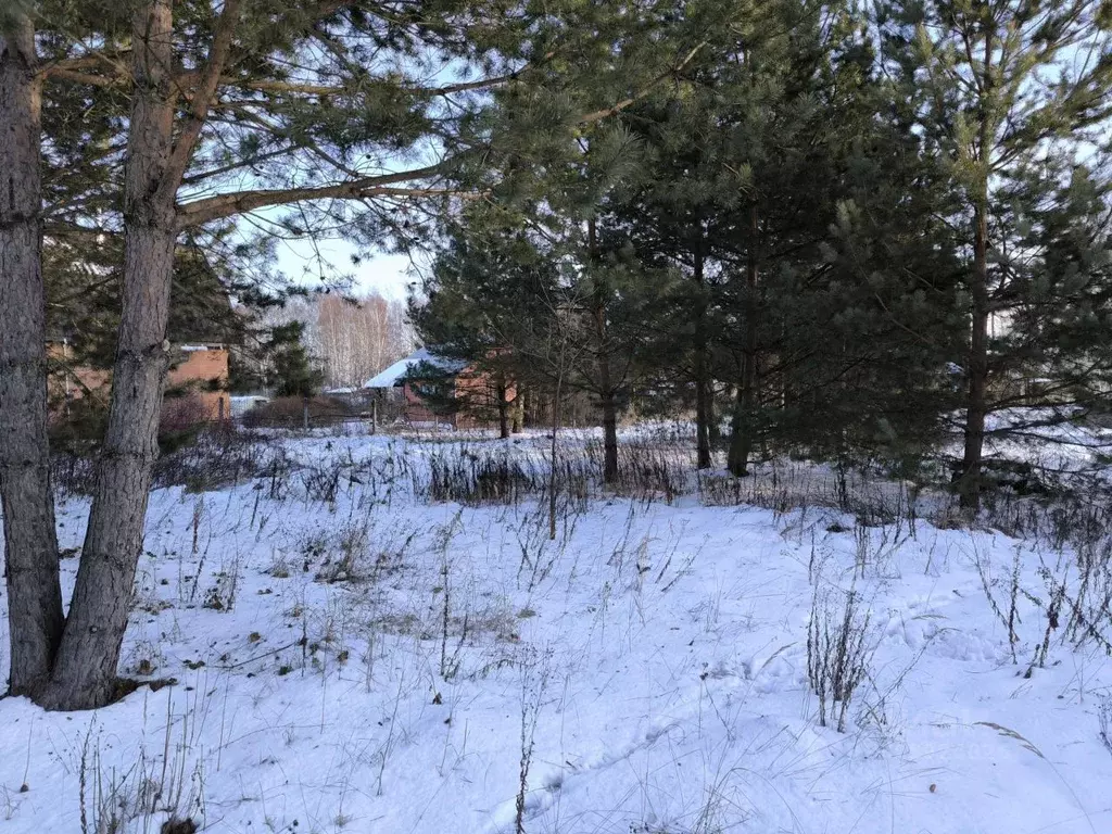 Участок в Московская область, Раменский муниципальный округ, с. ... - Фото 2