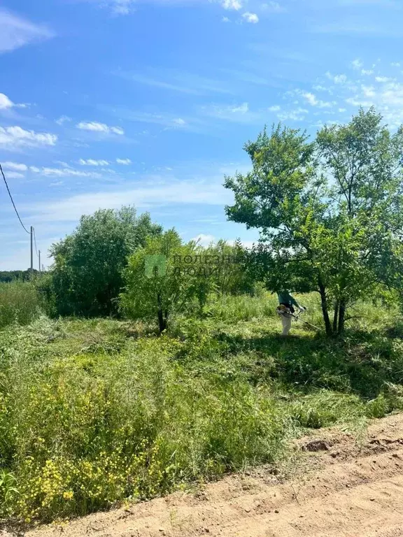 Участок в Амурская область, Благовещенский район, с. Новинка Зеленый ... - Фото 0