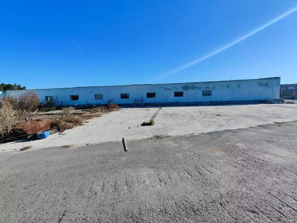 Производственное помещение в Свердловская область, Белоярский ... - Фото 2