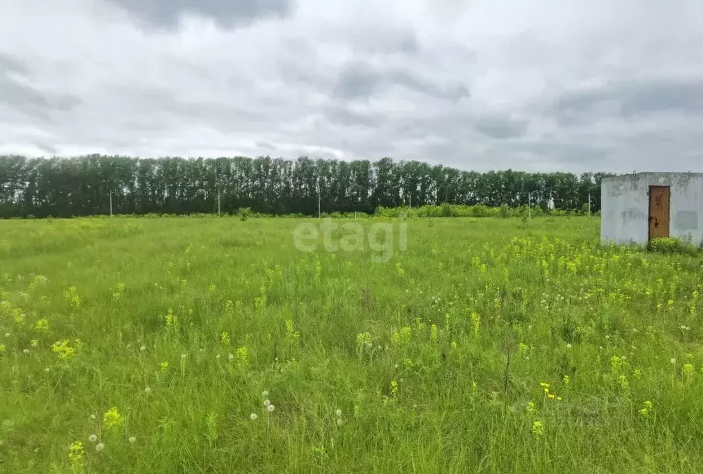 Участок в Омская область, Омский район, пос. Иртышский Заречная ул. ... - Фото 0