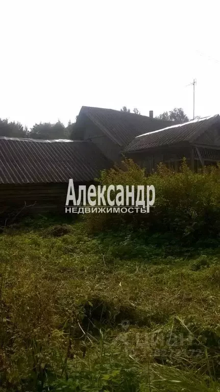 Дом в Псковская область, Порховский муниципальный округ, д. Ясно  (33 ... - Фото 2